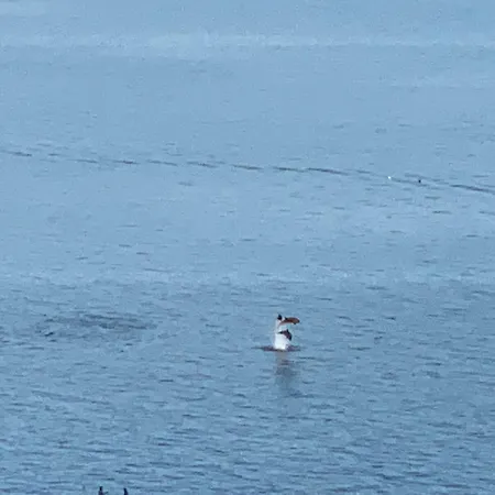 شقة Mirando Al Mar سانكسينكسو