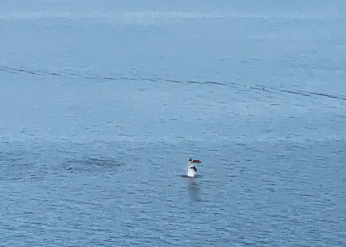 Lejlighed Mirador Da Granxa Sanxenxo